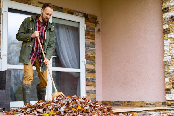 Best Basement Cleanout Services  in Reedsville, WI